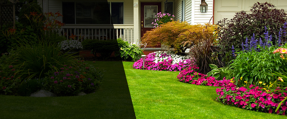 Cold Spring Landscapers